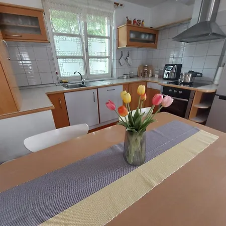 Sina شقة ليوبليانا