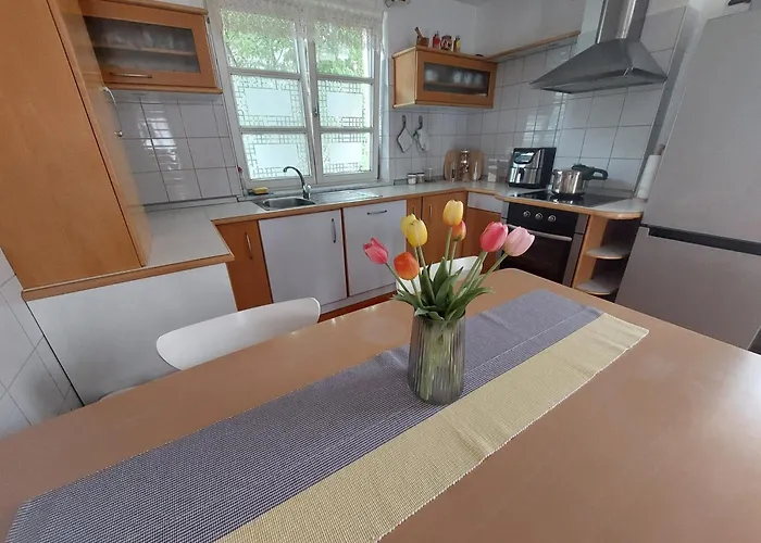 Sina Apartma Ljubljana